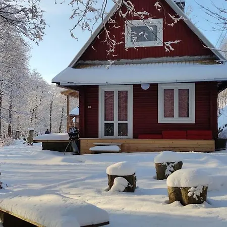 Chatky U Potoka Chatka N3 Olesnice v Orlickych horach Exterior photo