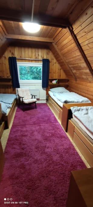 Chalet U Potoka N3 Olesnice v Orlickych horach