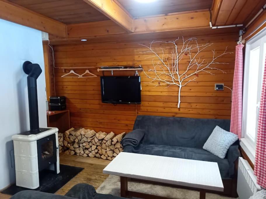 Chalet U Potoka N3 Olesnice v Orlickych horach